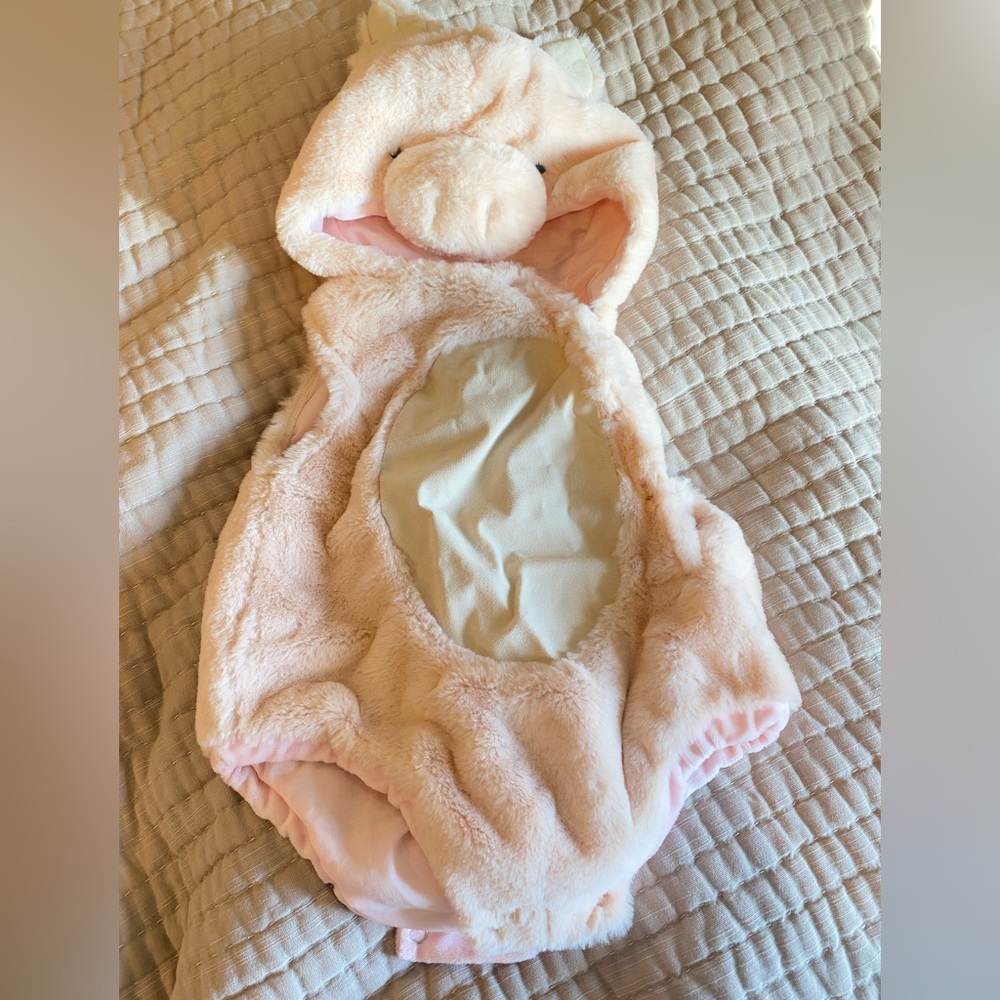 Pottery Barn Kids Pig Costume